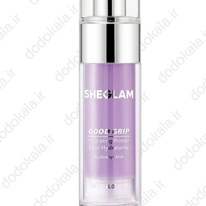 پرایمر آبرسان شیگلم
